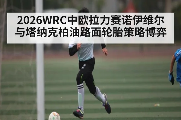 2026WRC中欧拉力赛诺伊维尔与塔纳克柏油路面轮胎策略博弈（AYX）